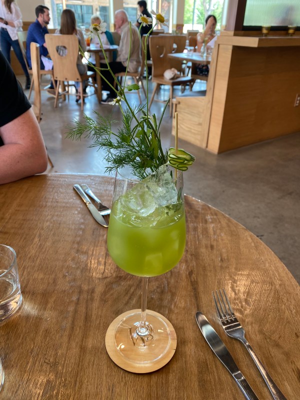 A delicious green cocktail at Written by the Seasons in Bishop Arts